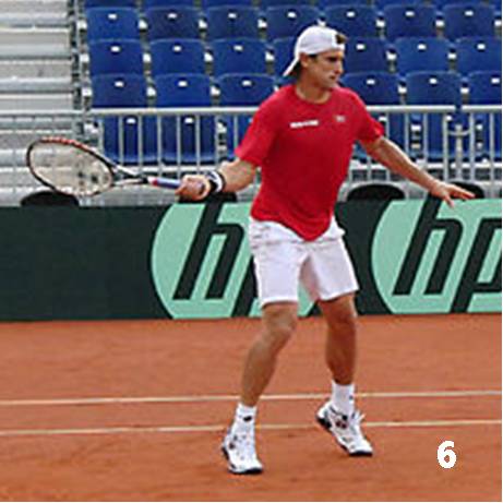 Ferrer 6